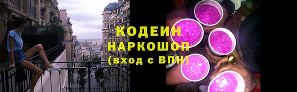 дживик Осинники